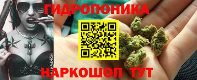 МДМА Гатчина