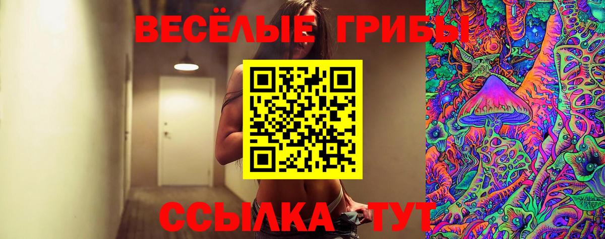 Галлюциногенные грибы GOLDEN TEACHER  цена наркотик  Псилоцибиновые грибы ЛСД  Набережные Челны  Вход с VPN 